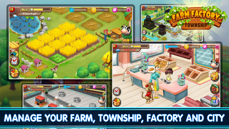 การจัดการทรัพยากรใน Township ให้ไม่ขาดแคลน