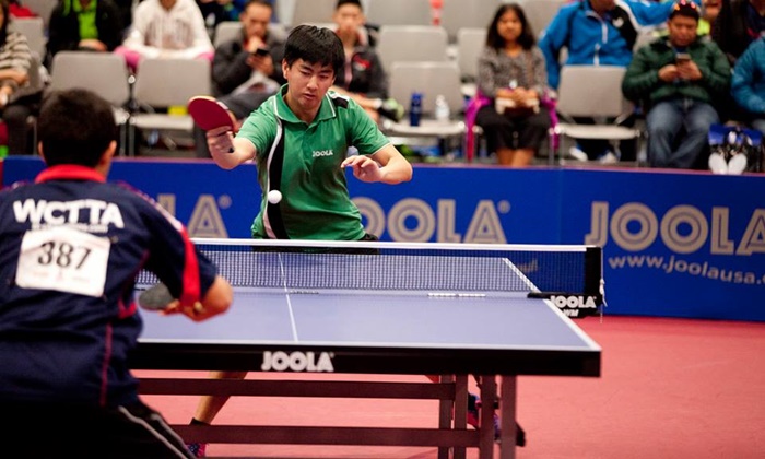 นักปิงปองญี่ปุ่นระดับโลกที่ควรรู้จัก: ดาวเด่นที่สร้างชื่อบนเวทีโลก